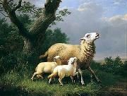 unknow artist Sheep 074 Sweden oil painting artist